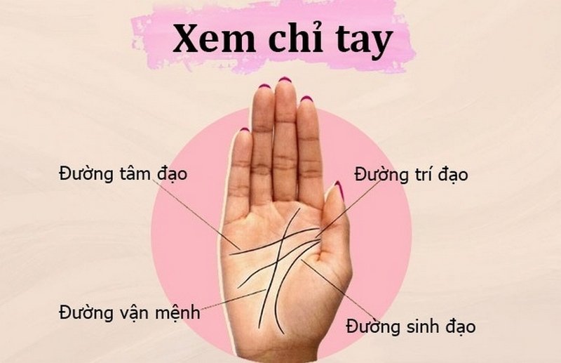Bàn tay nữ giới với đường chỉ tay rõ nét