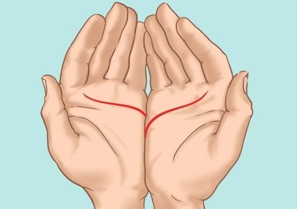 Giải mã chỉ tay đứt đoạn