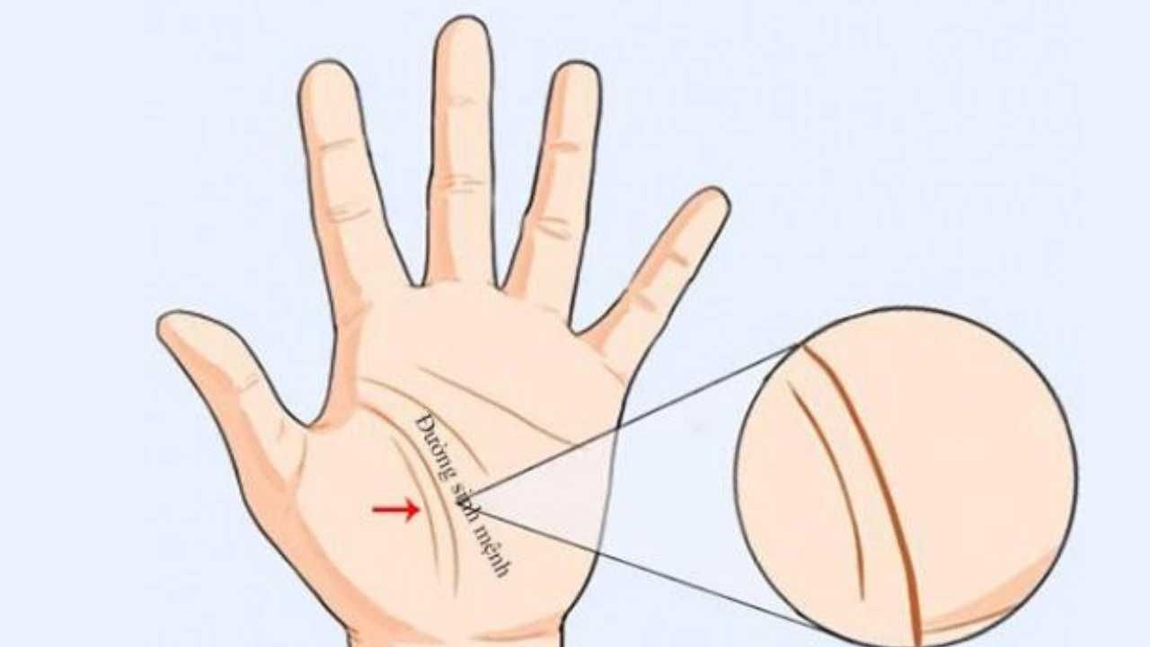 Hình ảnh minh họa đường sinh mệnh trên bàn tay